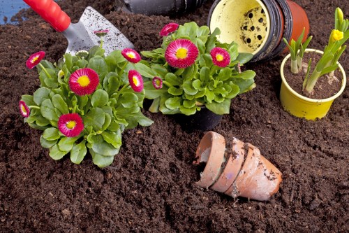 Front garden landscaping in Camden with paving and planting