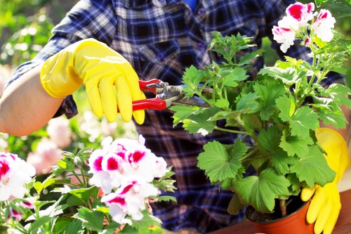 Flower bed creation in Camden with colourful planted border