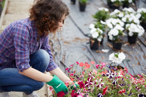 Landscape team working ethically in a Camden garden setting
