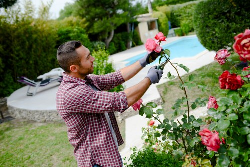 Annual review process for ethical landscaping practices