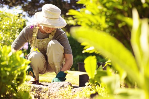 Year-round Camden landscape gardening with privacy screening and lighting