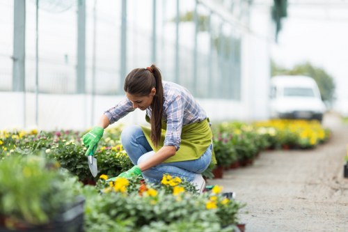 Payment options for Camden landscapers including cards, PayPal, and bank transfer