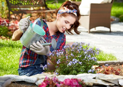 Seasonal hedge care and garden maintenance in Camden