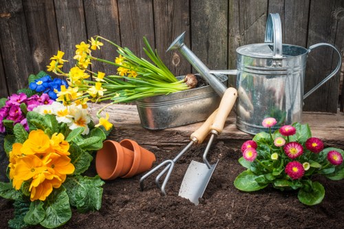 Landscapers Camden creating a front garden design