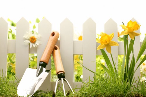 Professional landscapers Camden team introducing their outdoor design approach