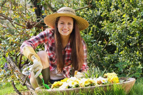 Seasonal planting displays for a Camden property with colourful flowers and containers