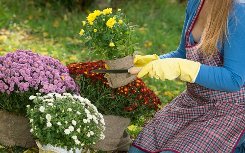 Lawn care and border edging in a Camden garden