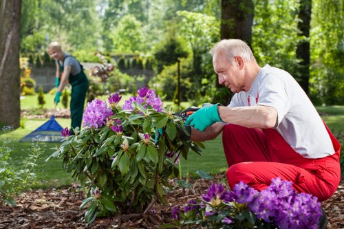 Performance monitoring for Landscapers Camden website