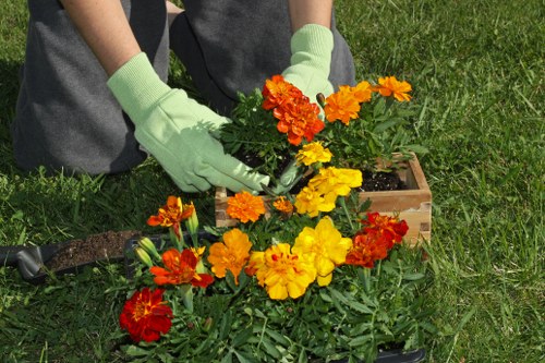 Eco-friendly planting and patio landscaping in Camden