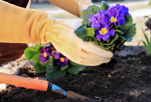 Grass selection and turf care for Camden gardens