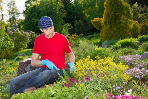 Choosing the right shed style for a Camden property