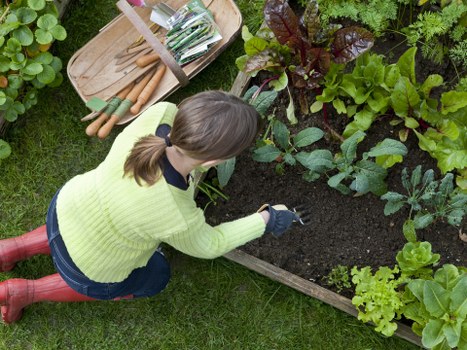 Trimmed hedges improving privacy and curb appeal in Camden