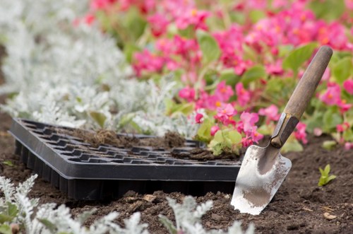 Low-maintenance planting arrangement suitable for Camden homes and businesses