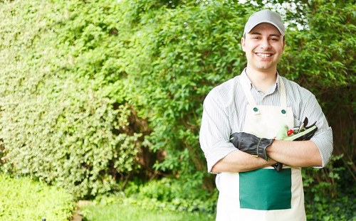 Example Camden garden clearance jobs and pricing variations