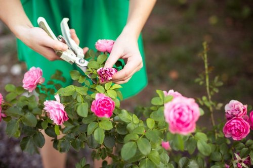 Professional Camden landscapers shaping an attractive and practical outdoor environment