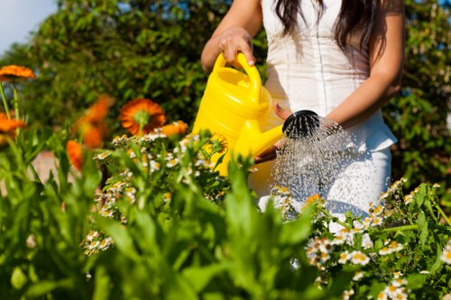 Visual for inclusive access to Landscapers Camden online content