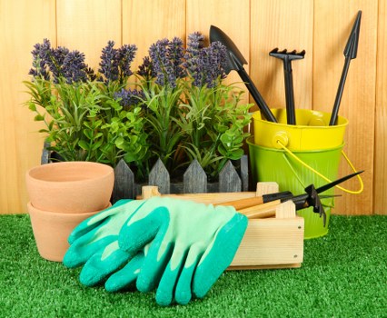 Website update and cookie tracking for Camden landscapers